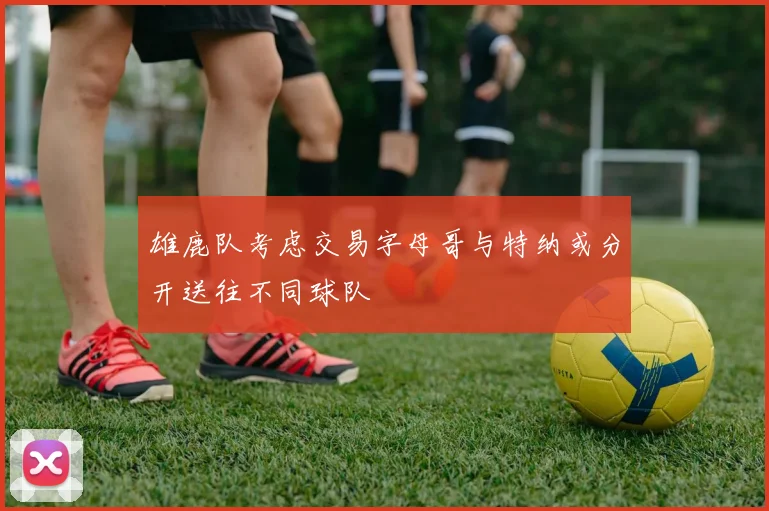 雄鹿队考虑交易字母哥与特纳或分开送往不同球队