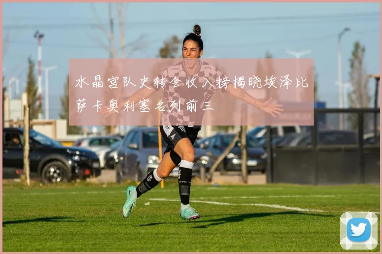 水晶宫队史转会收入榜揭晓埃泽比萨卡奥利塞名列前三
